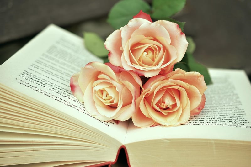 Spellbinding Guest Book